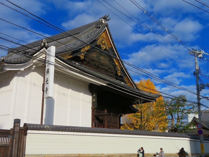 仏光寺「イチョウの紅葉」20191129_e0237645_17473503.jpg