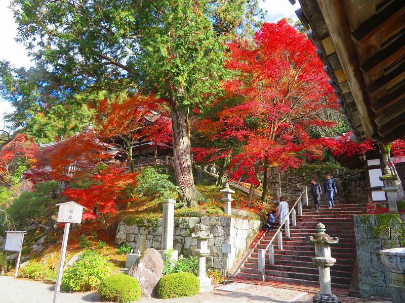 圓光大師(法然)本廟(知恩院)20191129_e0237645_17553112.jpg