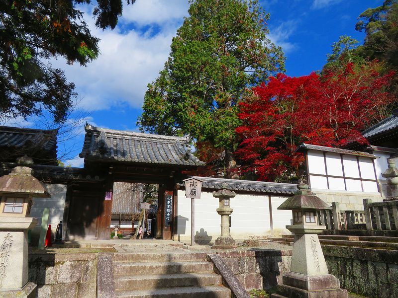 圓光大師(法然)本廟(知恩院)20191129_e0237645_17553191.jpg