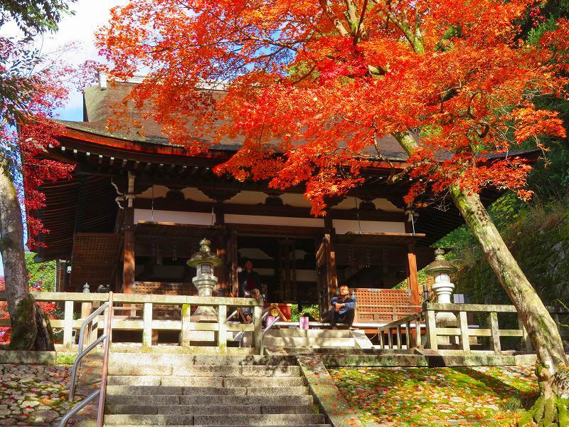 圓光大師(法然)本廟(知恩院)20191129_e0237645_17570250.jpg