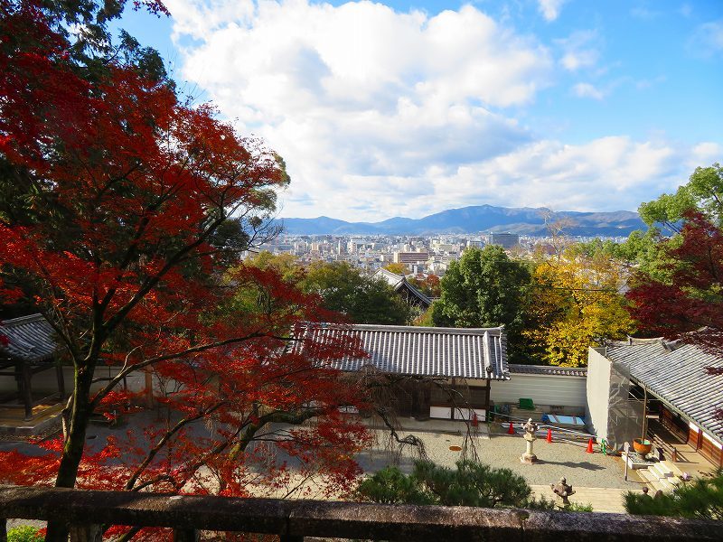 圓光大師(法然)本廟(知恩院)20191129_e0237645_17570296.jpg