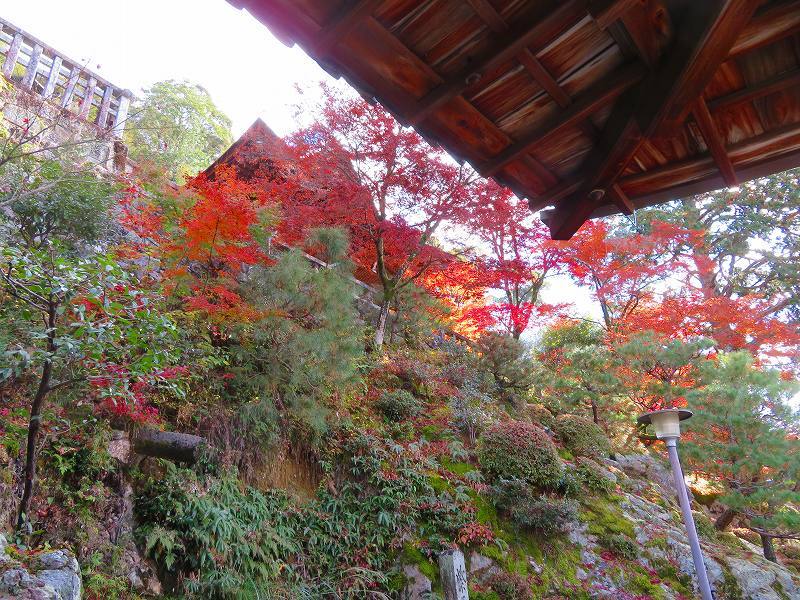 圓光大師(法然)本廟(知恩院)20191129_e0237645_17581742.jpg