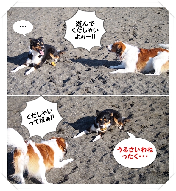 そして今日も・・・@みんなで海!_d0013149_23034267.jpg