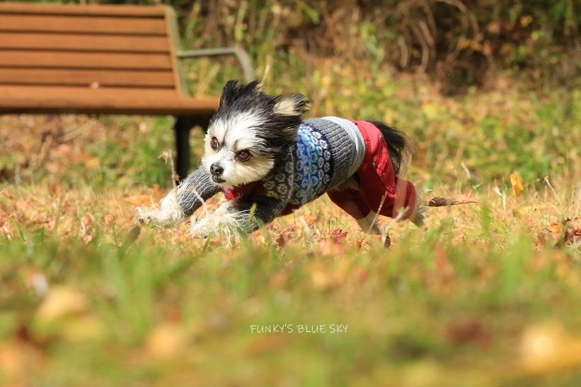ビュンビュン行こう♪_c0145250_10113379.jpg