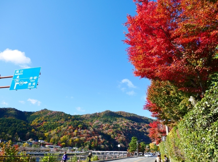 　　嵯峨・嵐山めぐり　１　　２０２３-１１-１９　００：００_b0093754_23415472.jpg