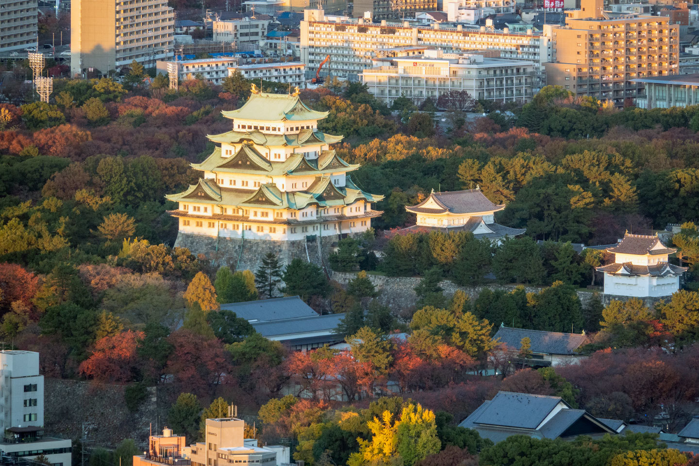 桜通と名古屋城の紅葉 名駅観測所 桜通と名古屋城の紅葉 名駅観測所