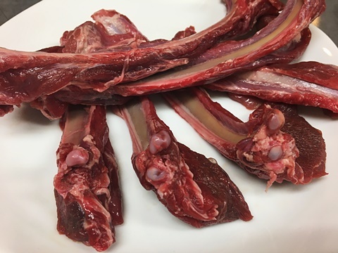 猪 骨付きバラ肉 Costolette Di Cinghiale イル レオーネ 千林大宮駅近くのシェフソムリエのブログ 猪 骨付きバラ肉 Costolette Di Cinghiale イル レオーネ 千林大宮駅近くのシェフソムリエのブログ