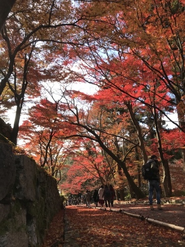 京都日帰り旅行 毘沙門堂_c0340786_09264402.jpeg