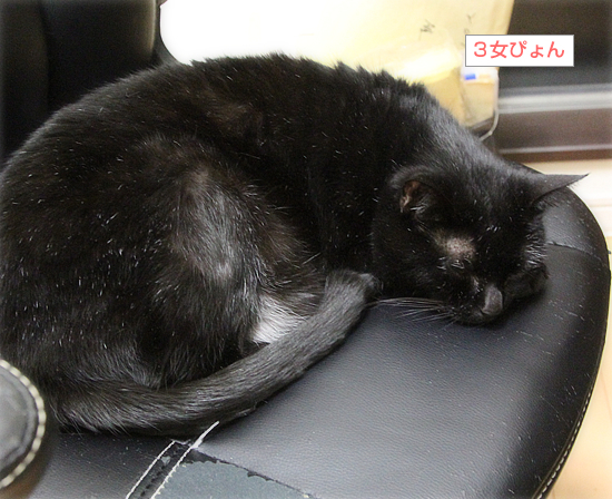 歴史になぞって_a0389088_04041689.jpg