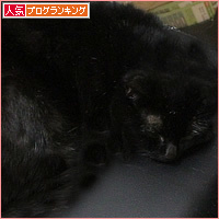歴史になぞって_a0389088_04041708.jpg