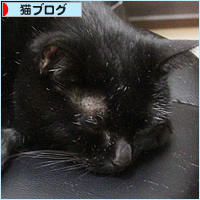 歴史になぞって_a0389088_04041778.jpg