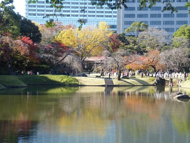 小石川後楽園の紅葉とお食事処涵徳亭（かんとくてい）♪ : ルソイの半 