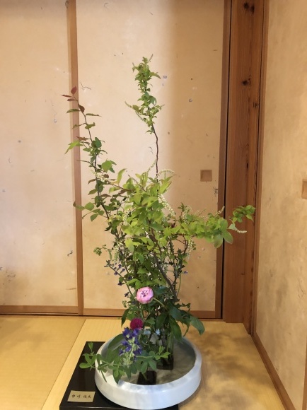 いけばな展　芽ぐみの会_c0350090_13012942.jpg