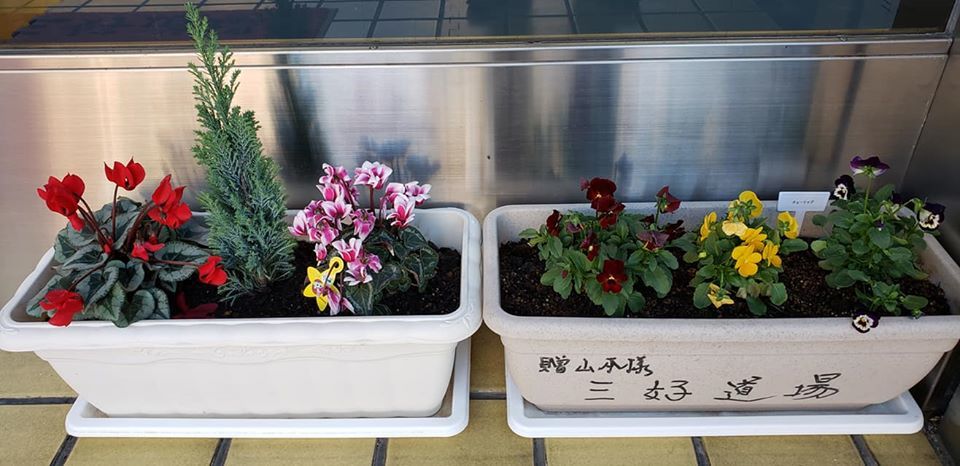 スーパー女将が率いる、老舗鰻屋さん「丸よ」に連れていって貰いました。_c0186691_17010032.jpg
