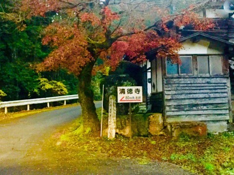 金剛山清徳寺 紅葉 裏luz
