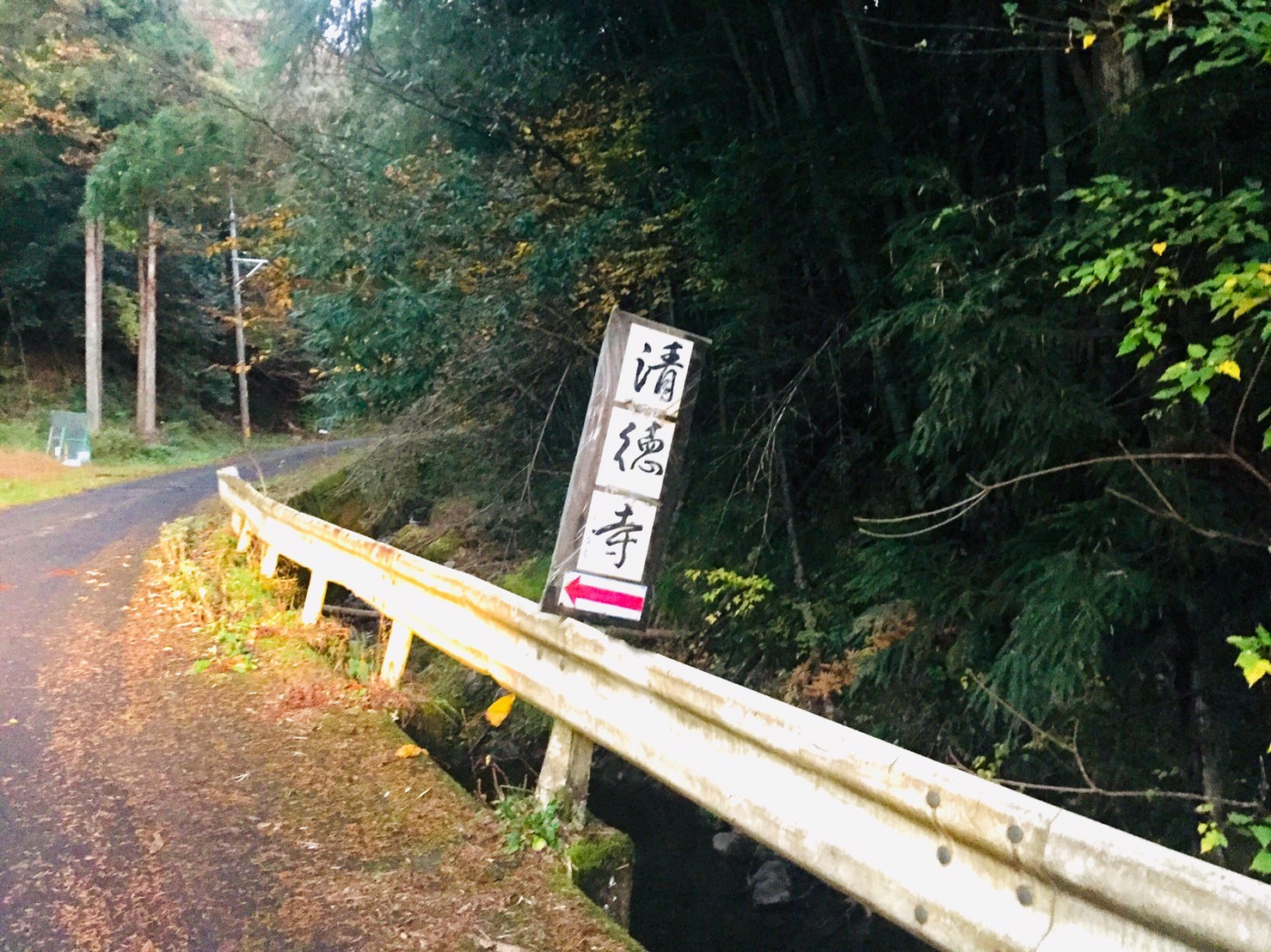 金剛山清徳寺 紅葉 裏luz