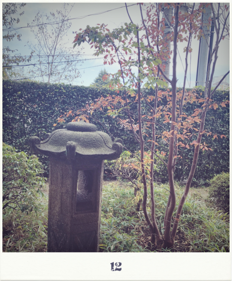 12月です。_a0088007_13303767.jpg