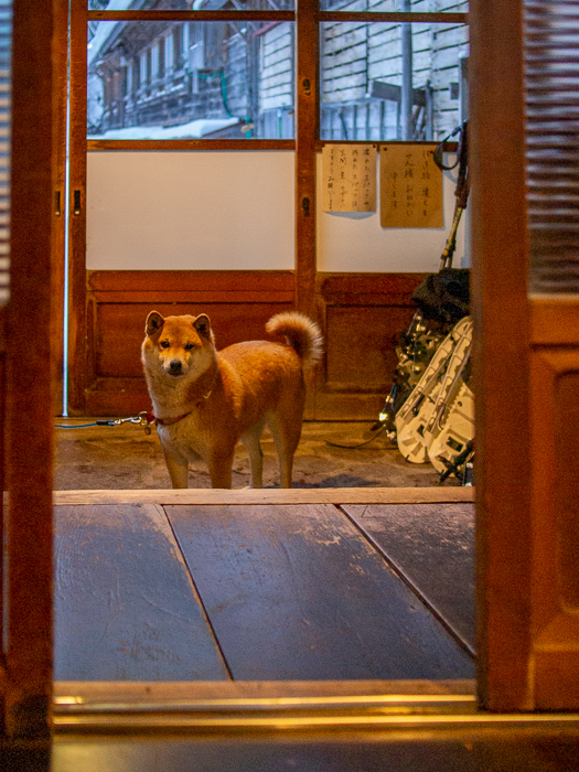 冬の山旅ひとり旅　日光澤温泉_b0244811_19440656.jpg