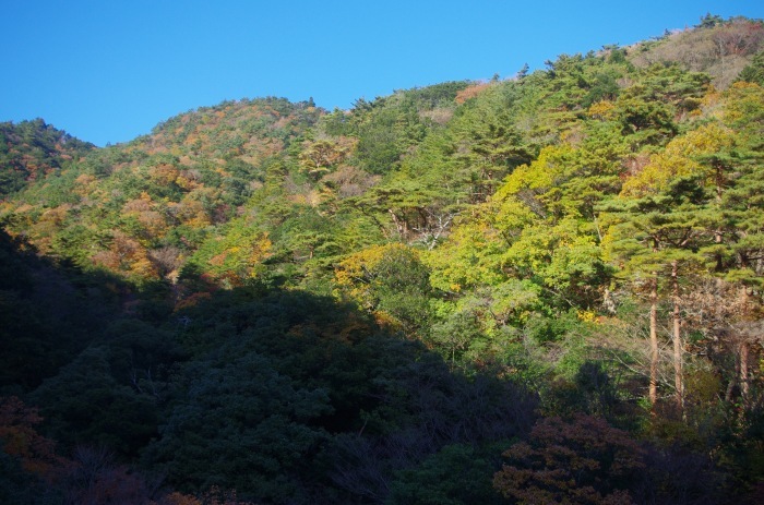 f0195813_01474291.jpg