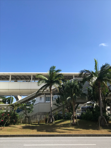 2019 沖縄の旅 1 @ cafe Vegetarica_b0157216_14333968.jpg