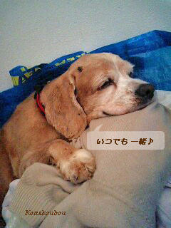 しあわせな休暇_a0392423_09163131.jpg