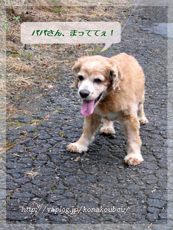 しあわせな休暇_a0392423_09163197.jpg