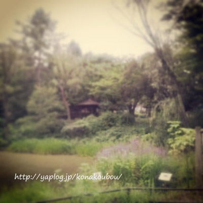 匂い立つ気配_a0392423_10074121.jpg