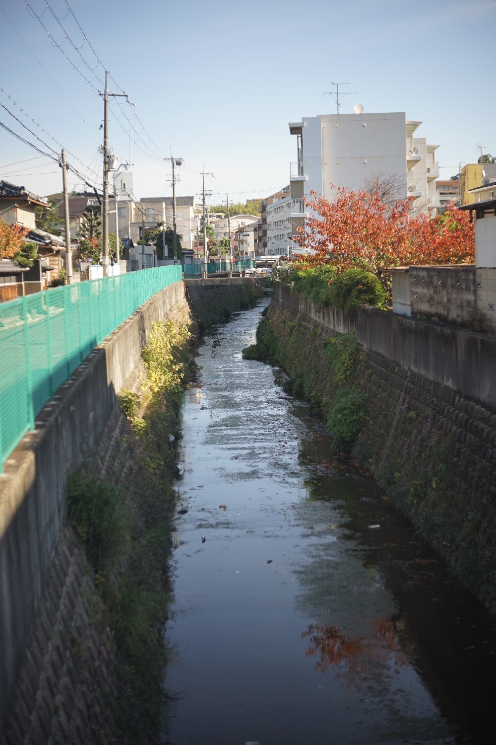 スーパーキヤノマチック R 50mmF1.8 で 熊野町へ_b0069128_15030836.jpg