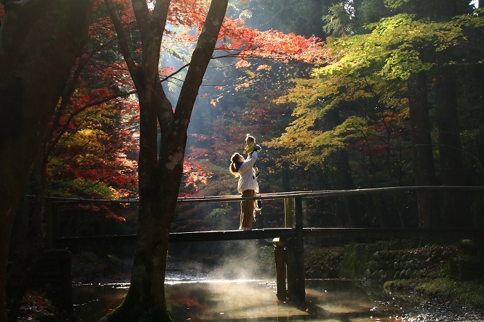 小国神社の紅葉・2_f0327034_07261171.jpg