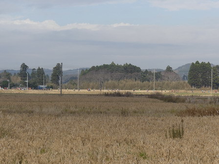 いすみ健康マラソン_a0123836_17134911.jpg