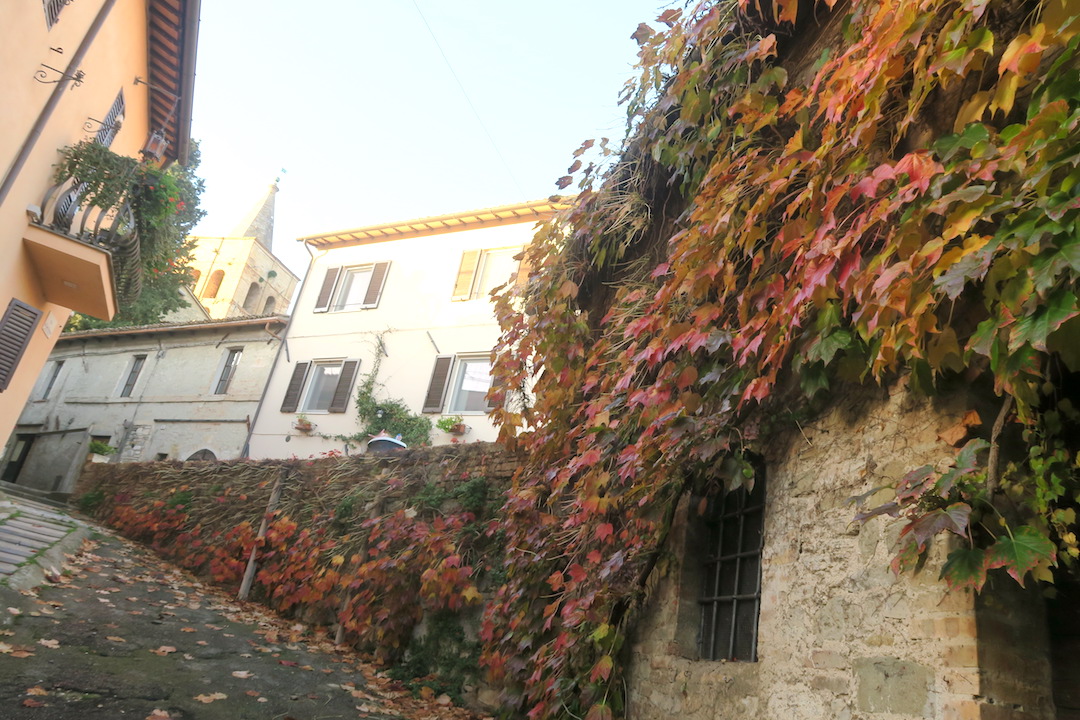 f0234936_8291819.jpg