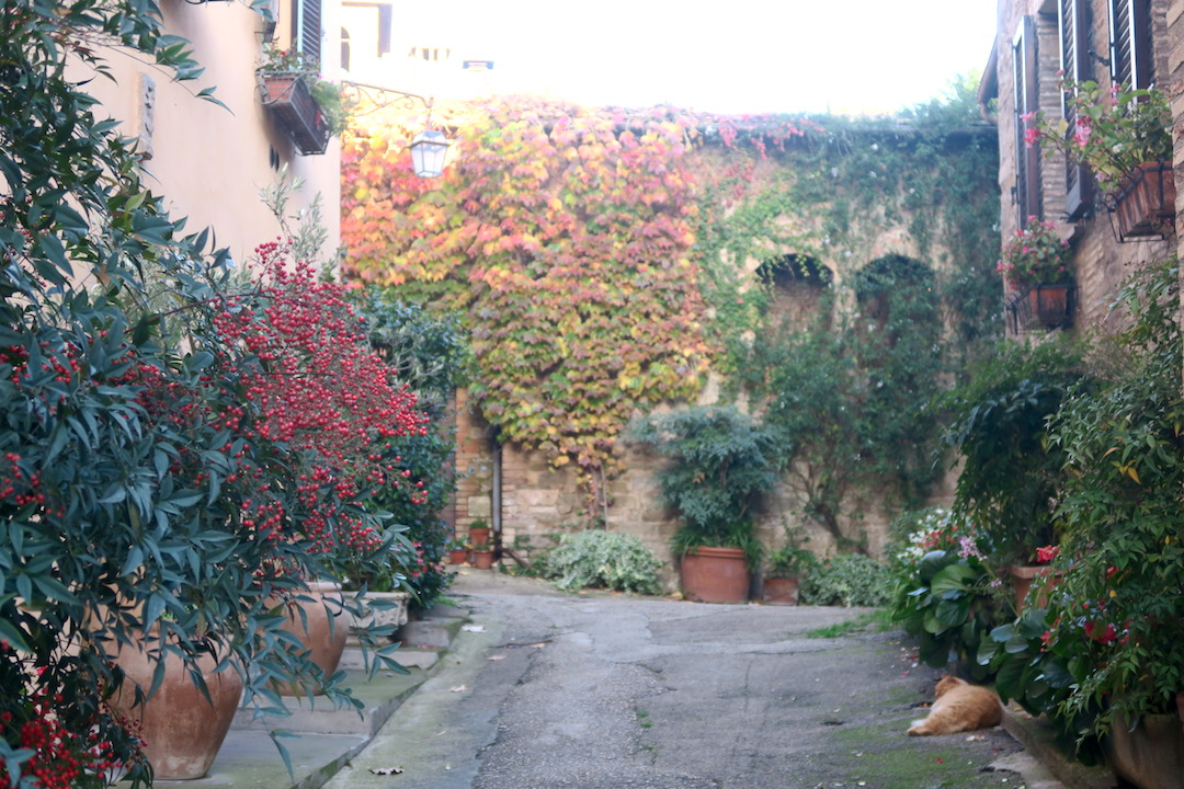 f0234936_8363524.jpg