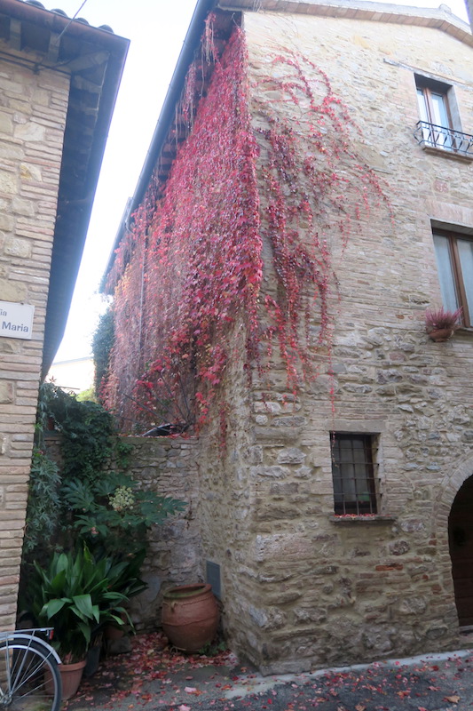 f0234936_8412944.jpg