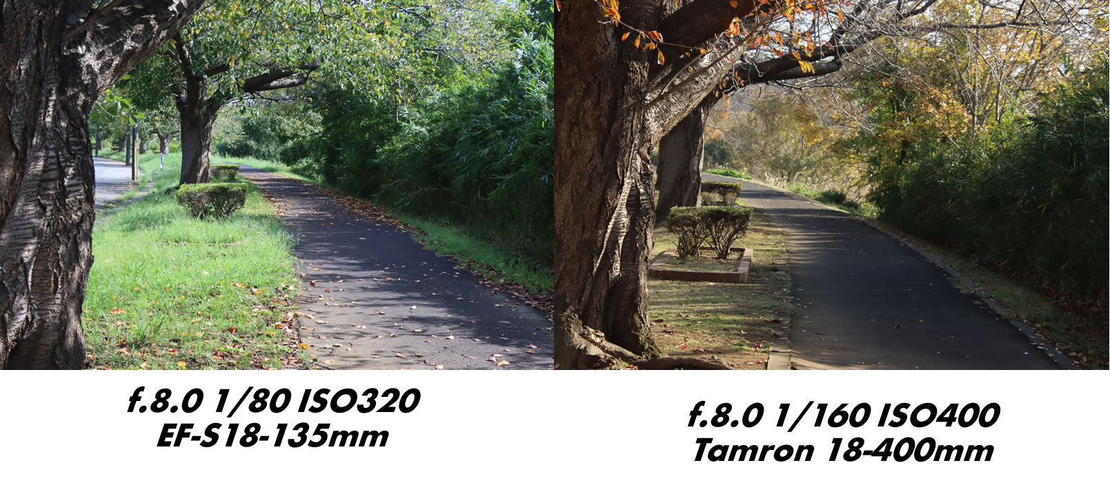 タムロン 18-400mm F/3.5-6.3 Di II VC HLD : 四季の色 -Colors of the Four Seasons タムロン 18-400mm F/3.5-6.3 Di II VC HLD : 四季の色 -Colors of the Four Seasons