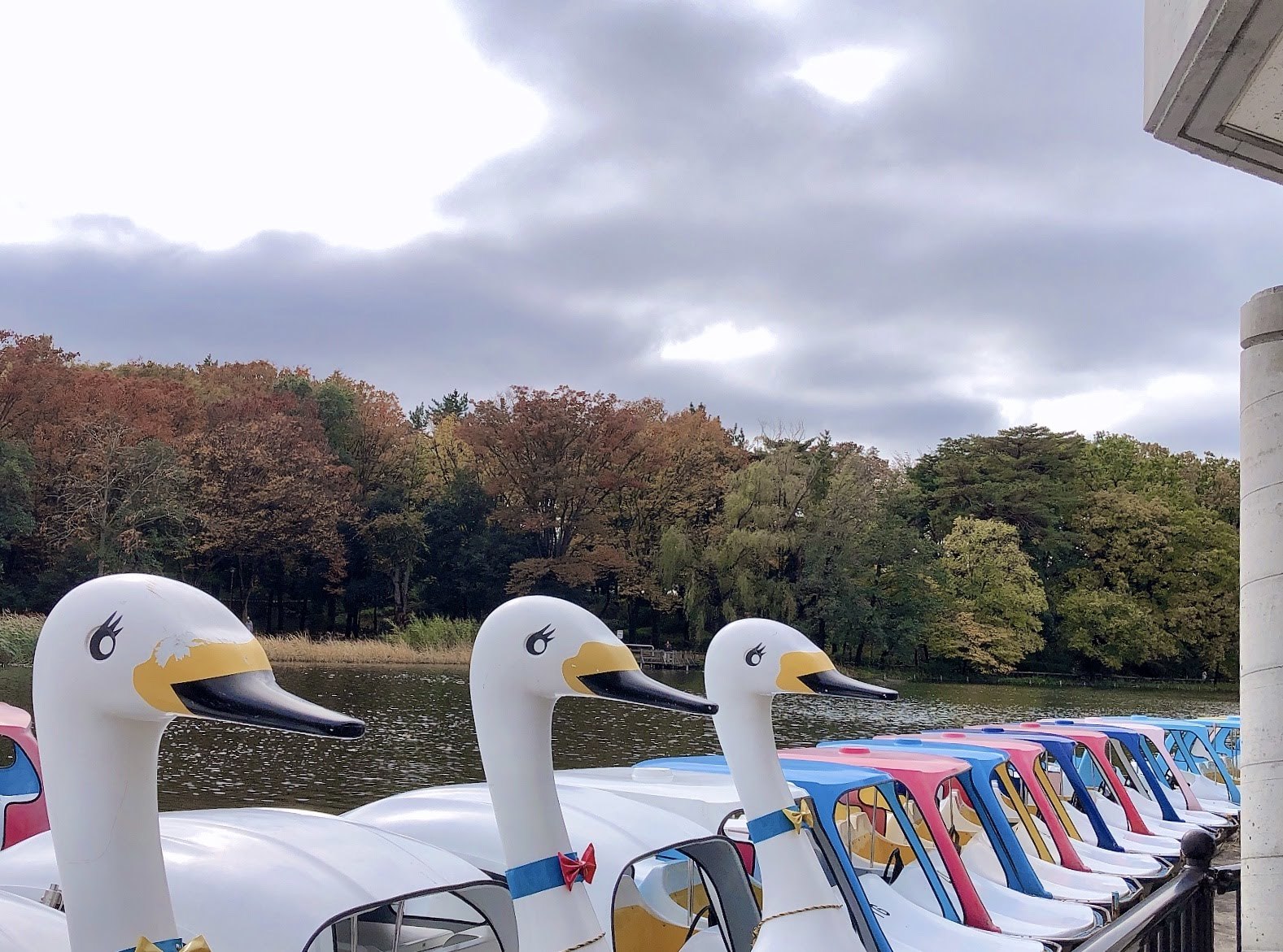 紅葉の石神井公園で撮影していただいたときのおはなし～奇跡のような光に恵まれて…。^^～_b0298740_23265879.jpg