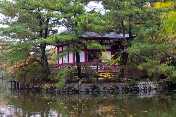 紅葉の石神井公園で撮影していただいたときのおはなし～奇跡のような光に恵まれて…。^^～_b0298740_23275563.jpg