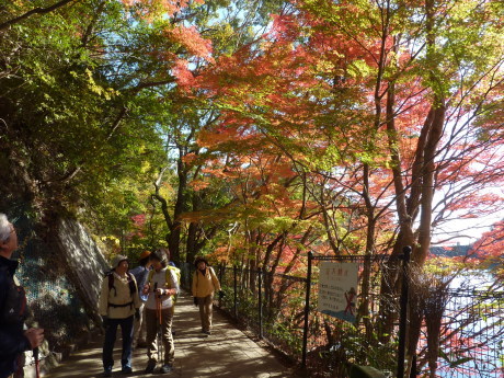 紅葉に染まる散策路　『布引～修法ヶ原～大師道』_c0218841_18010561.jpg