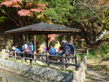 紅葉に染まる散策路 『布引~修法ヶ原~大師道』_c0218841_18072535.jpg
