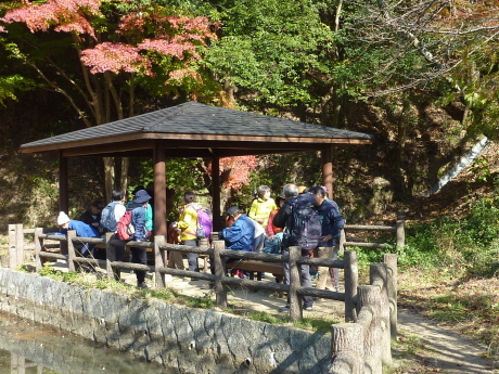 紅葉に染まる散策路　『布引～修法ヶ原～大師道』_c0218841_18072535.jpg