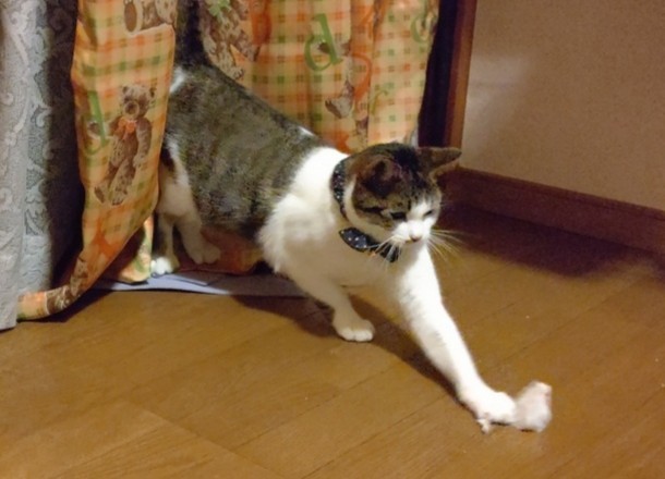 みなさんはじめまして♪_a0392544_20234169.jpg
