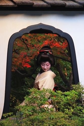 京美人_e0241944_22005560.jpg