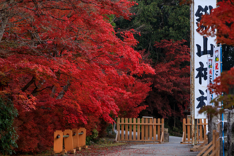 花紅葉都噺 - 和書