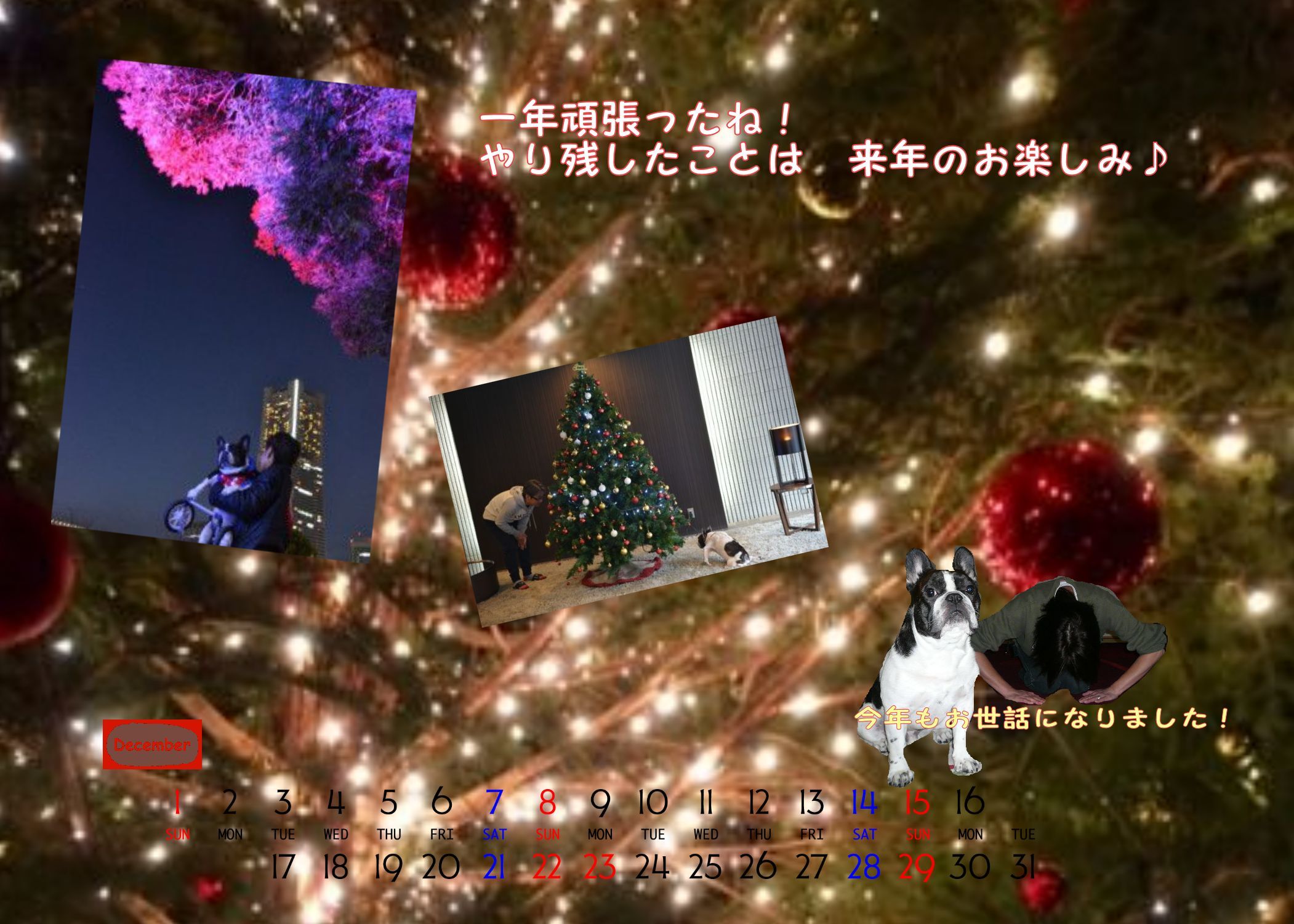 落としたものは、財布とお金だけ_b0307951_21533315.jpg