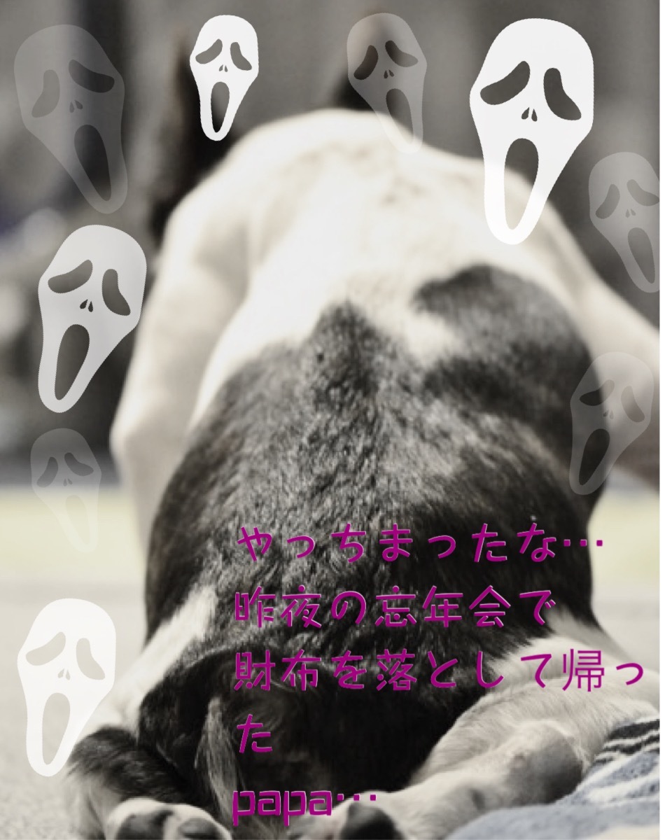 落としたものは、財布とお金だけ_b0307951_22245593.jpg