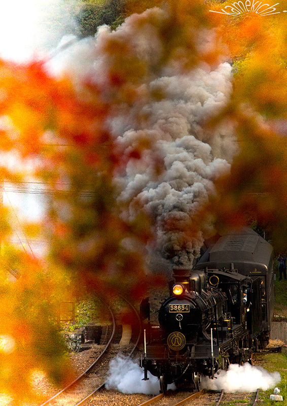 過年撮影の紅葉！（いずれも熊本地震前の撮影です。） _a0057752_10322449.jpg