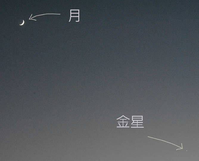 11月30日 三日月と金星_a0001354_00191853.gif