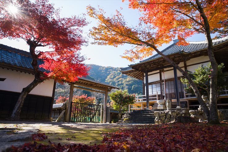 行基寺　紅葉　その２_e0170058_16571877.jpg