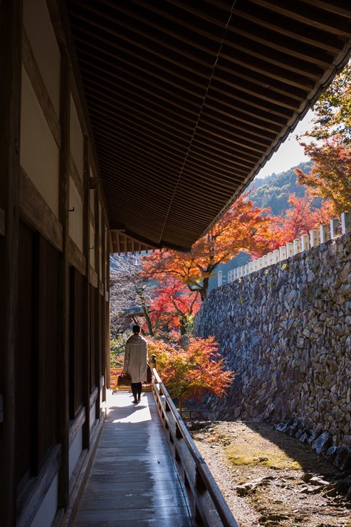 行基寺　紅葉　その２_e0170058_17021098.jpg