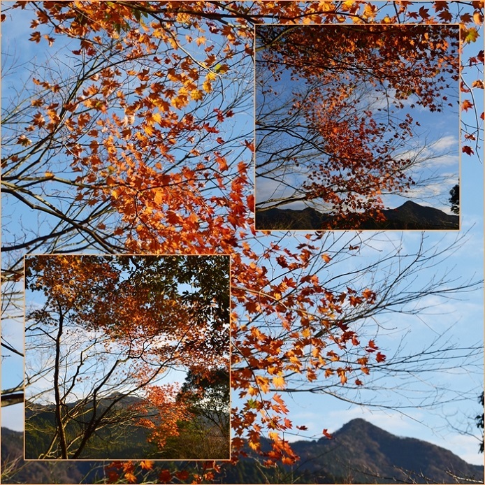 岩屋神社 深倉峡 英彦山 羅漢寺へ紅葉散策 そうだ 山に登ろう