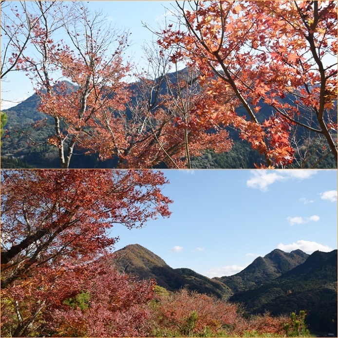 岩屋神社 深倉峡 英彦山 羅漢寺へ紅葉散策 そうだ 山に登ろう